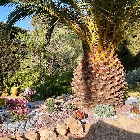 Oleander, * Mougins
