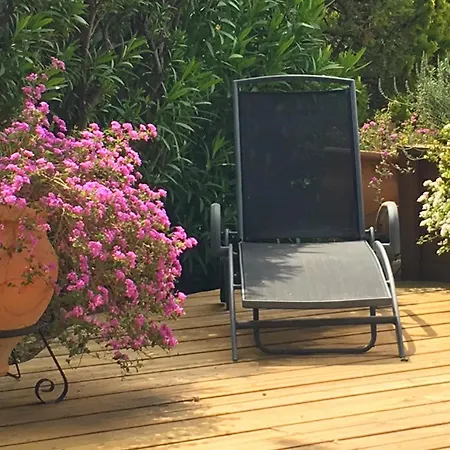 Oleander, Mougins